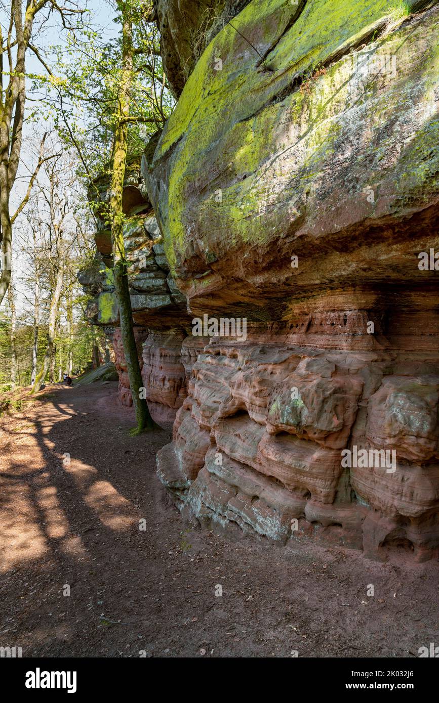 Le rocce del Castello Vecchio (chiamato anche Castello di Eppenbrunn) sono un gruppo di rocce di arenaria rossa sul territorio del comune di Eppenbrunn nella Foresta Palatinata, designato come monumento naturale. Foto Stock