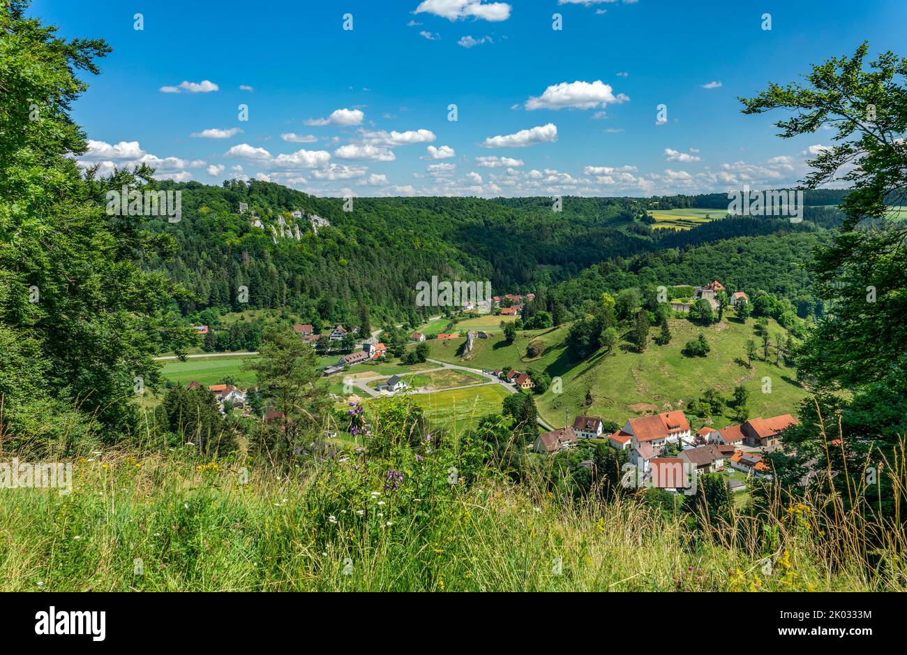 Vista dal punto panoramico Bürzel alle rovine del castello Nieder- e Hohengundelfingen Foto Stock