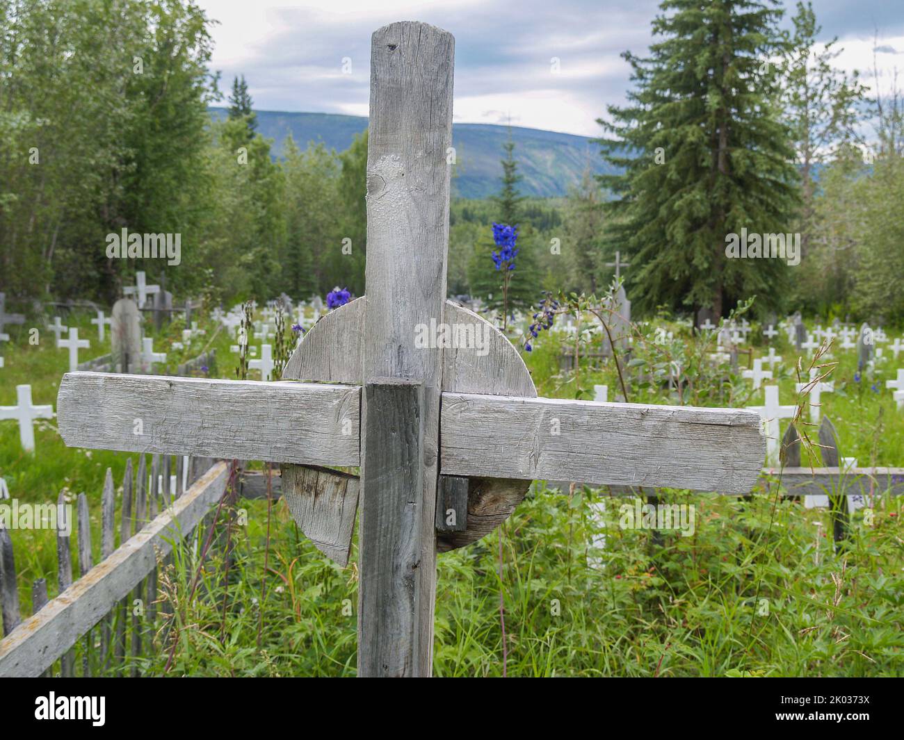 Vecchio legno. Croce primo piano con campo sfocato di croci bianche di cimitero. Foto Stock