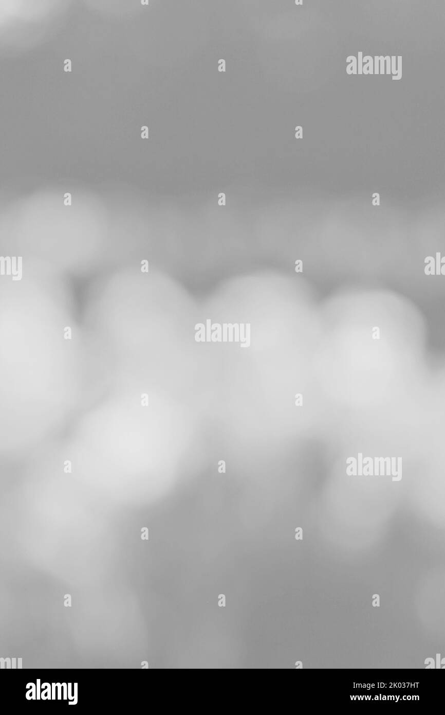 Blurry Dreamy astratto di un campo di fiori pieno di bei fiori in un'illustrazione di fondo in bianco e nero. Foto Stock