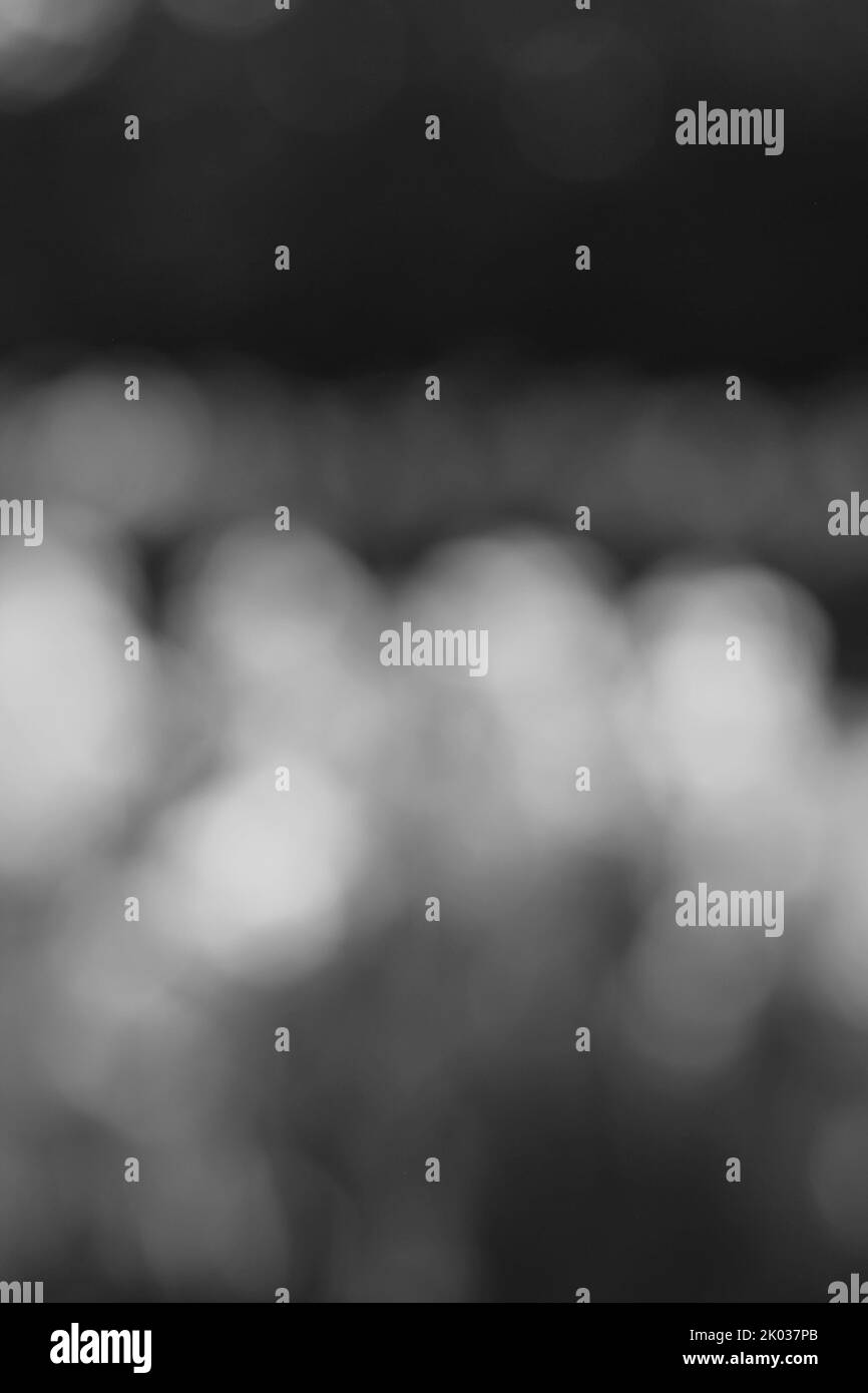 Blurry Dreamy astratto di un campo di fiori pieno di bei fiori in un'illustrazione di fondo in bianco e nero. Foto Stock