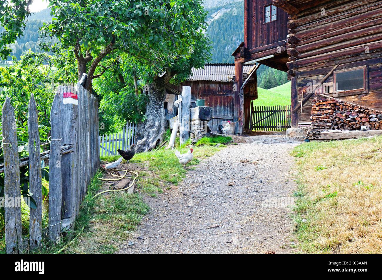 Il sentiero rosso e bianco porta alla fattoria di montagna della Valle Ulten Foto Stock
