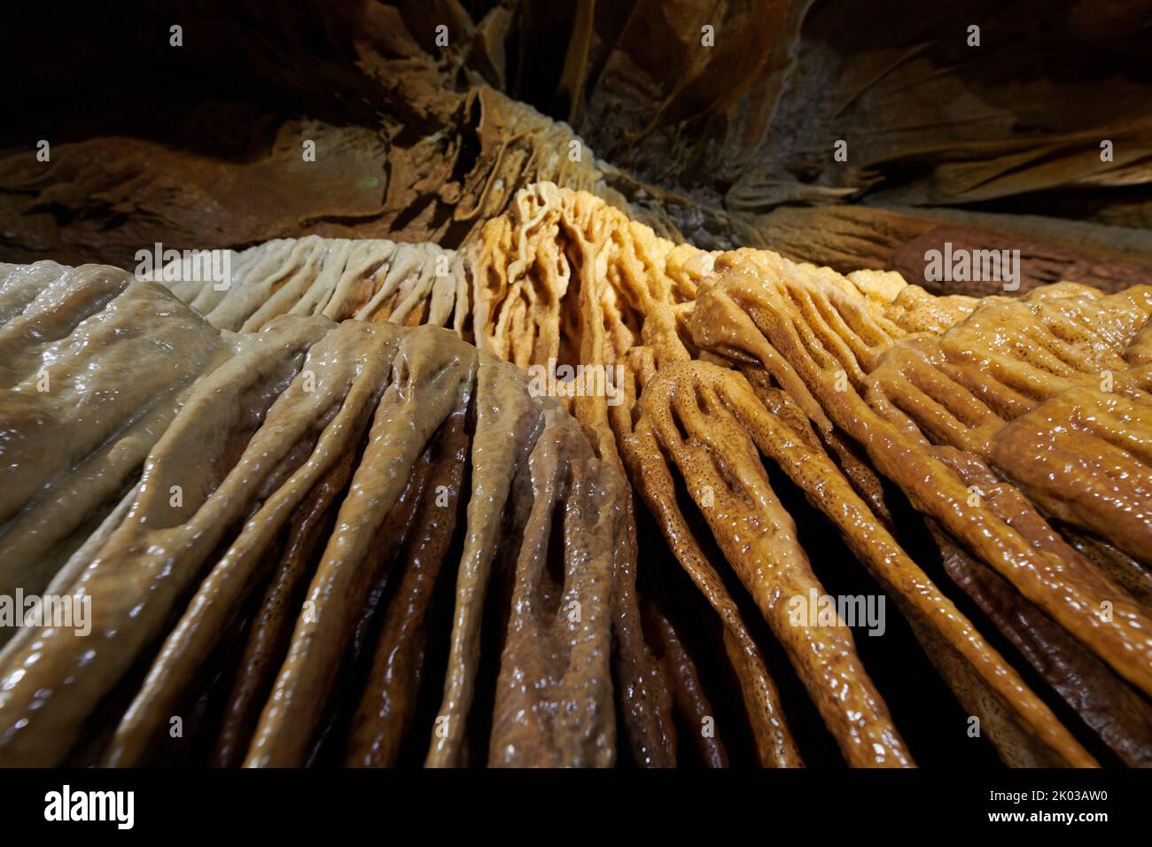 Caverna di drippstone, Grotte du Château de la Roche Foto Stock