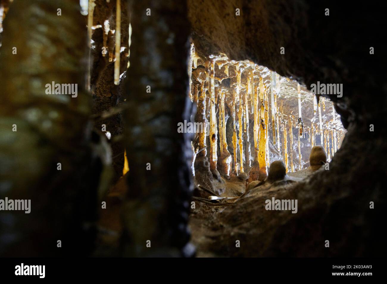 Caverna di drippstone, Grotte du Château de la Roche Foto Stock