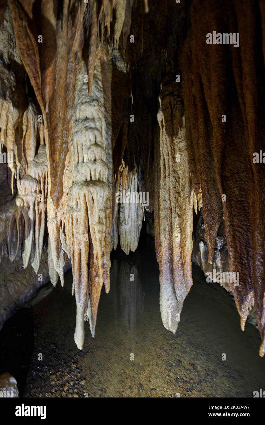 Caverna di drippstone, Grotte du Château de la Roche Foto Stock