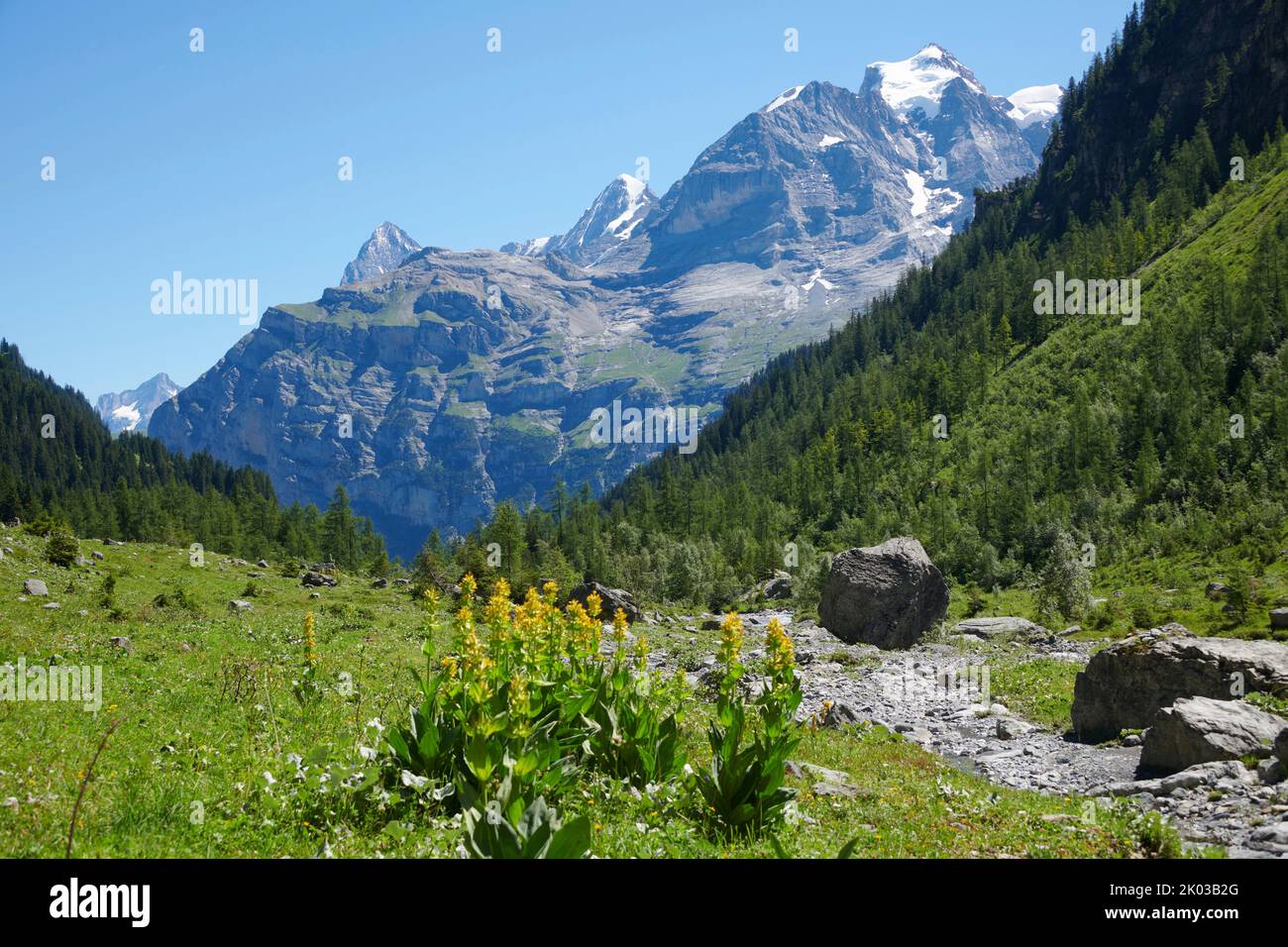 Paesaggio montano in Sefinental, Svizzera Foto Stock