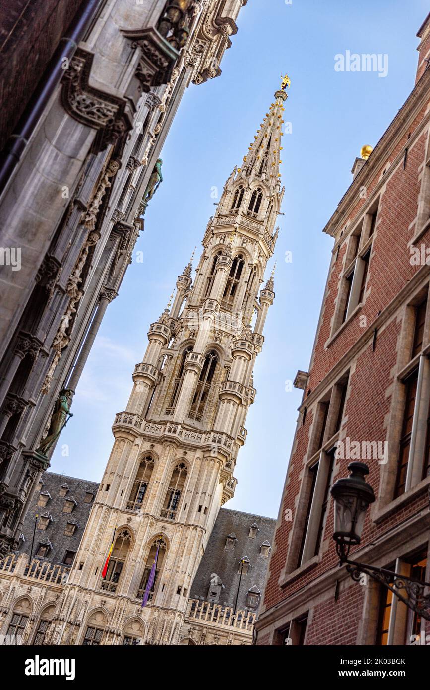 Municipio di Bruxelles, patrimonio dell'umanità dell'UNESCO. Bruxelles, Belgio. Foto Stock