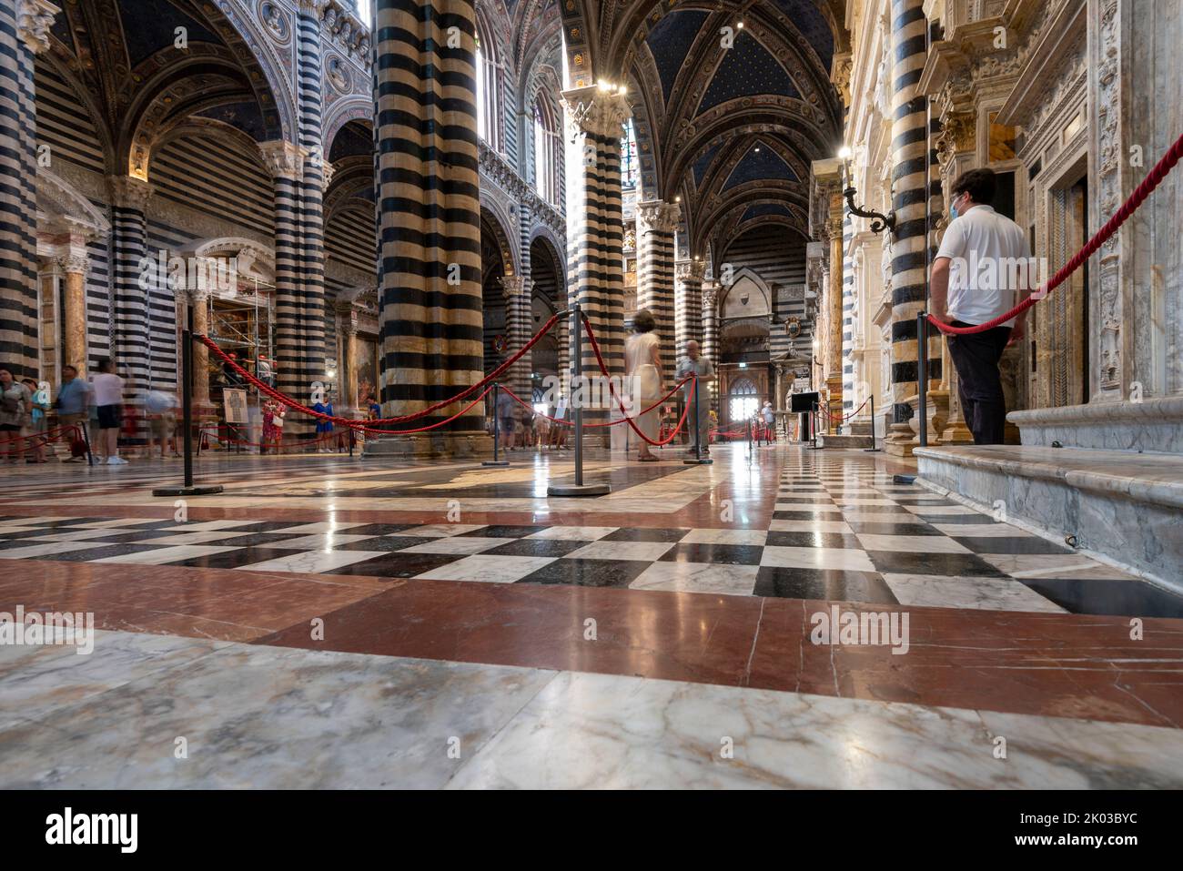 Cattedrale di Santa Maria Assunta, interno, Siena, Toscana, Italia Foto Stock