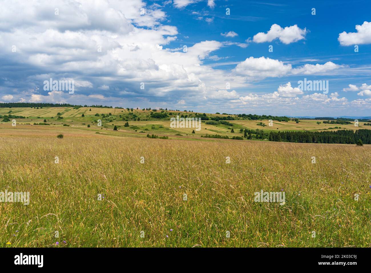 La riserva naturale di Lange Rhön nella zona centrale della riserva della biosfera di Rhön, Assia, Baviera, Germania Foto Stock