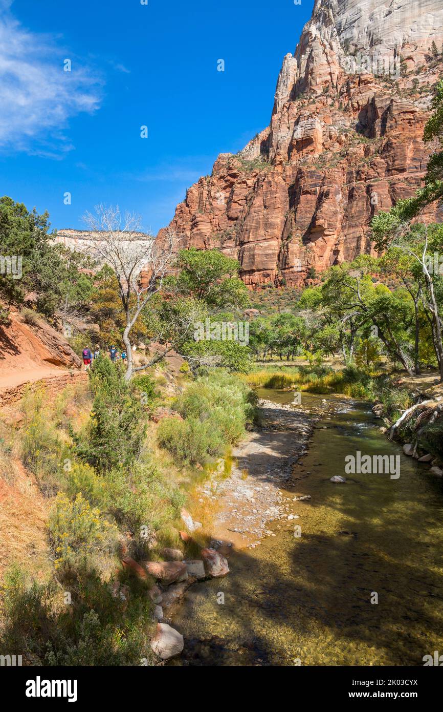 Lo Zion National Park si trova nel sud-ovest dello Utah, al confine con l'Arizona. Ha una superficie di 579 kö² e si trova tra i 1128 m e i 2660 m. di altitudine. Paesaggio nello Zion Canyon sul West Rim Trail. Vista sulla valle fino a Angels Landing. Foto Stock