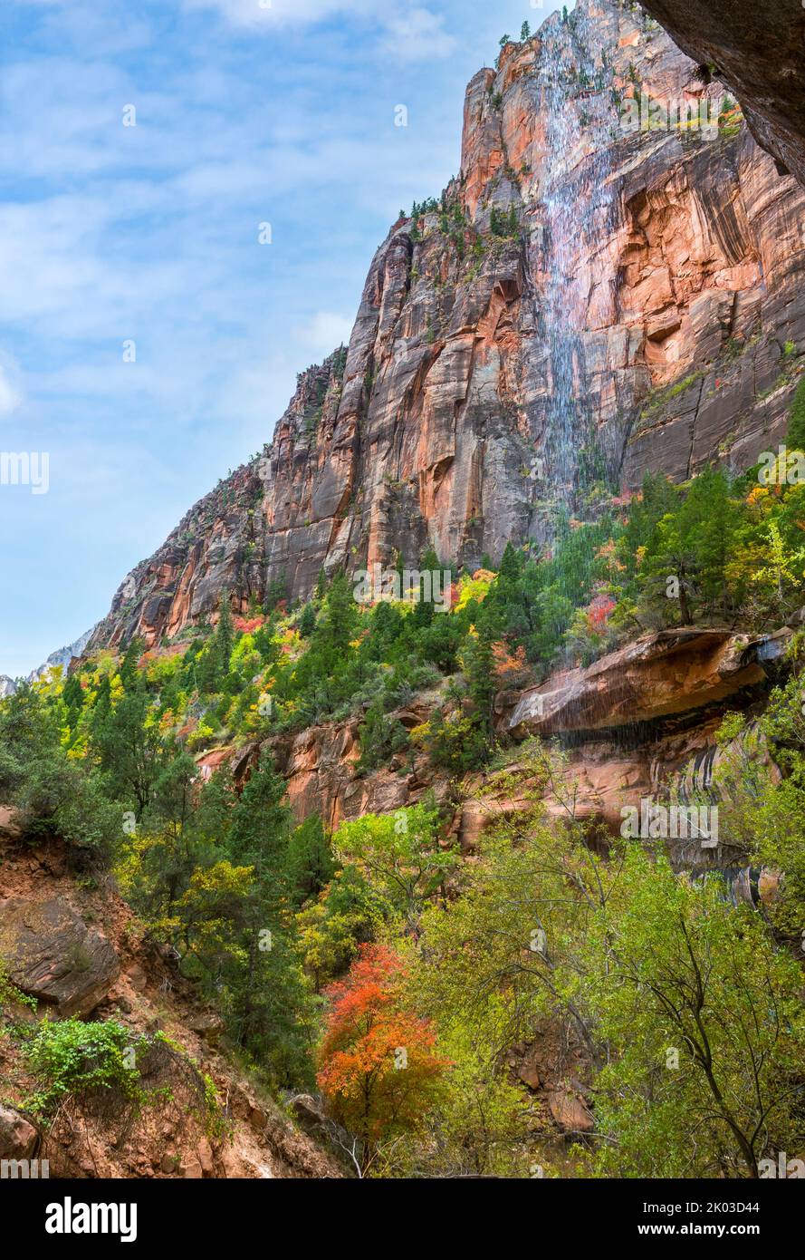 Lo Zion National Park si trova nel sud-ovest dello Utah, al confine con l'Arizona. Ha una superficie di 579 kö² e si trova tra i 1128 m e i 2660 m. di altitudine. Cascata presso la piscina Smeraldo inferiore. Foto Stock Lo Zion National Park si trova nel sud-ovest dello Utah, al confine con l'Arizona. Ha una superficie di 579 kö² e si trova tra i 1128 m e i 2660 m. di altitudine. Cascata presso la piscina Smeraldo inferiore. Foto Stock