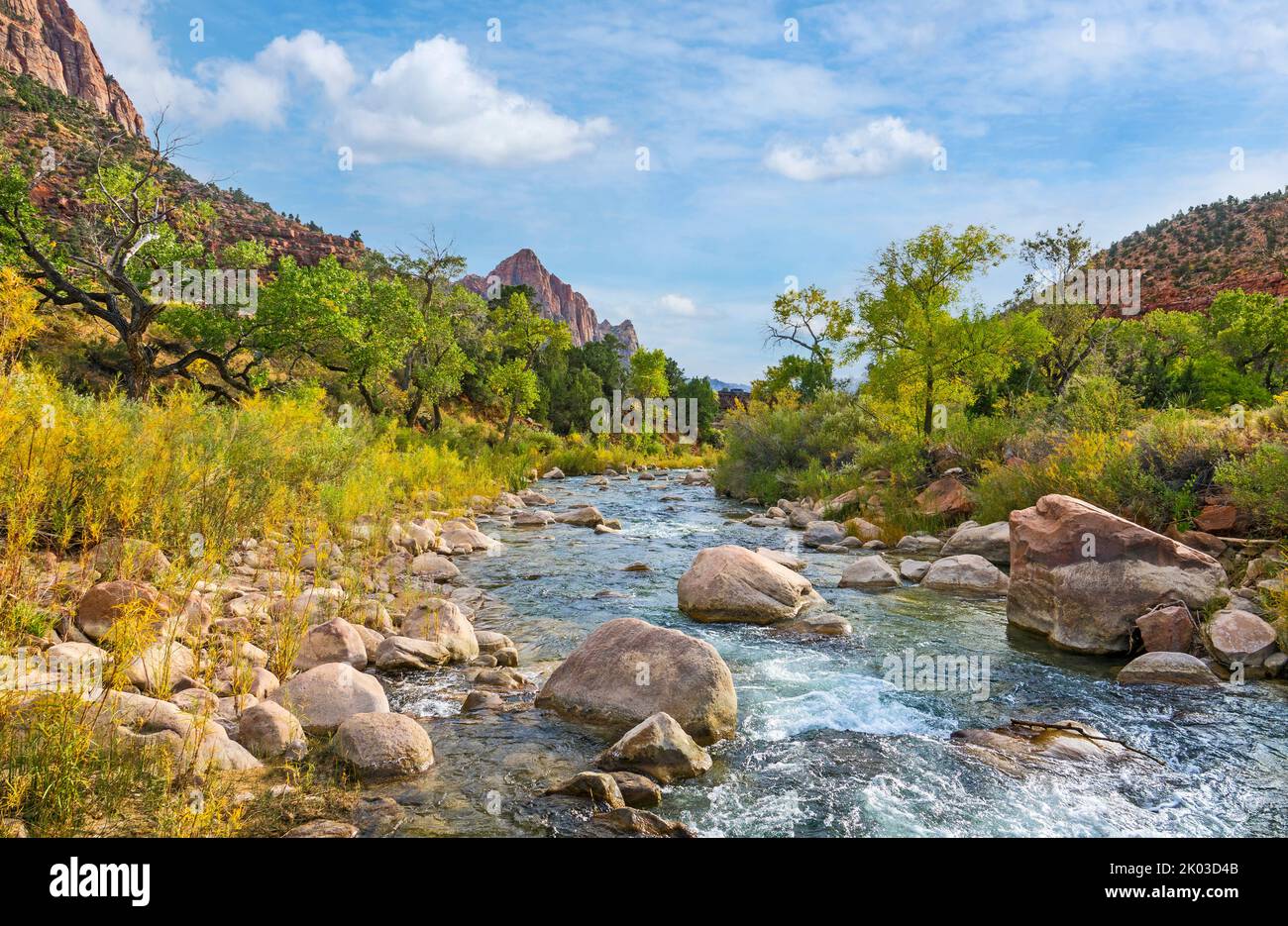 Lo Zion National Park si trova nel sud-ovest dello Utah, al confine con l'Arizona. Ha una superficie di 579 kö² e si trova tra i 1128 m e i 2660 m. di altitudine. Vista sul fiume Virgin fino alla montagna il Watchman Foto Stock