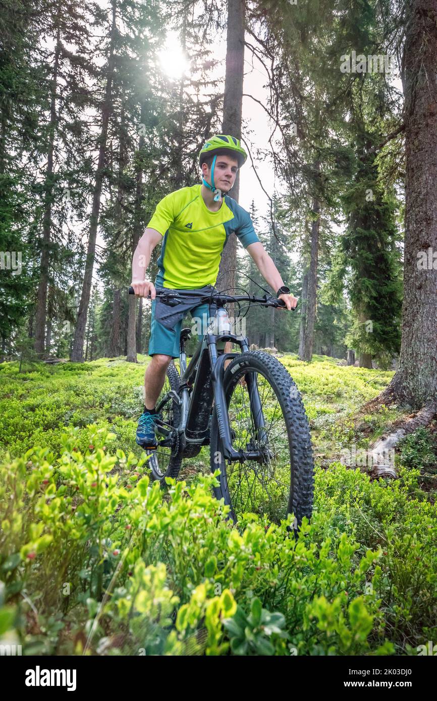 Italia, Alto Adige, Bolzano, San Candido, Innichen. Cavaliere con e-bike, giro gratuito nella foresta tra pini Foto Stock