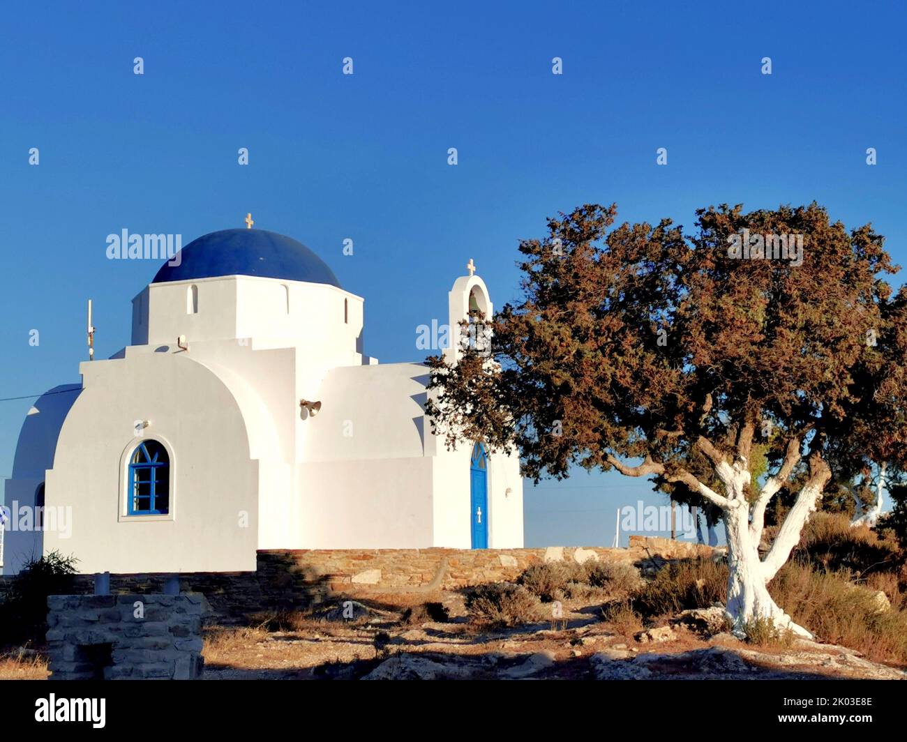 Chiesa greca con un albero sull'isola di Antiparos, Grecia Foto Stock