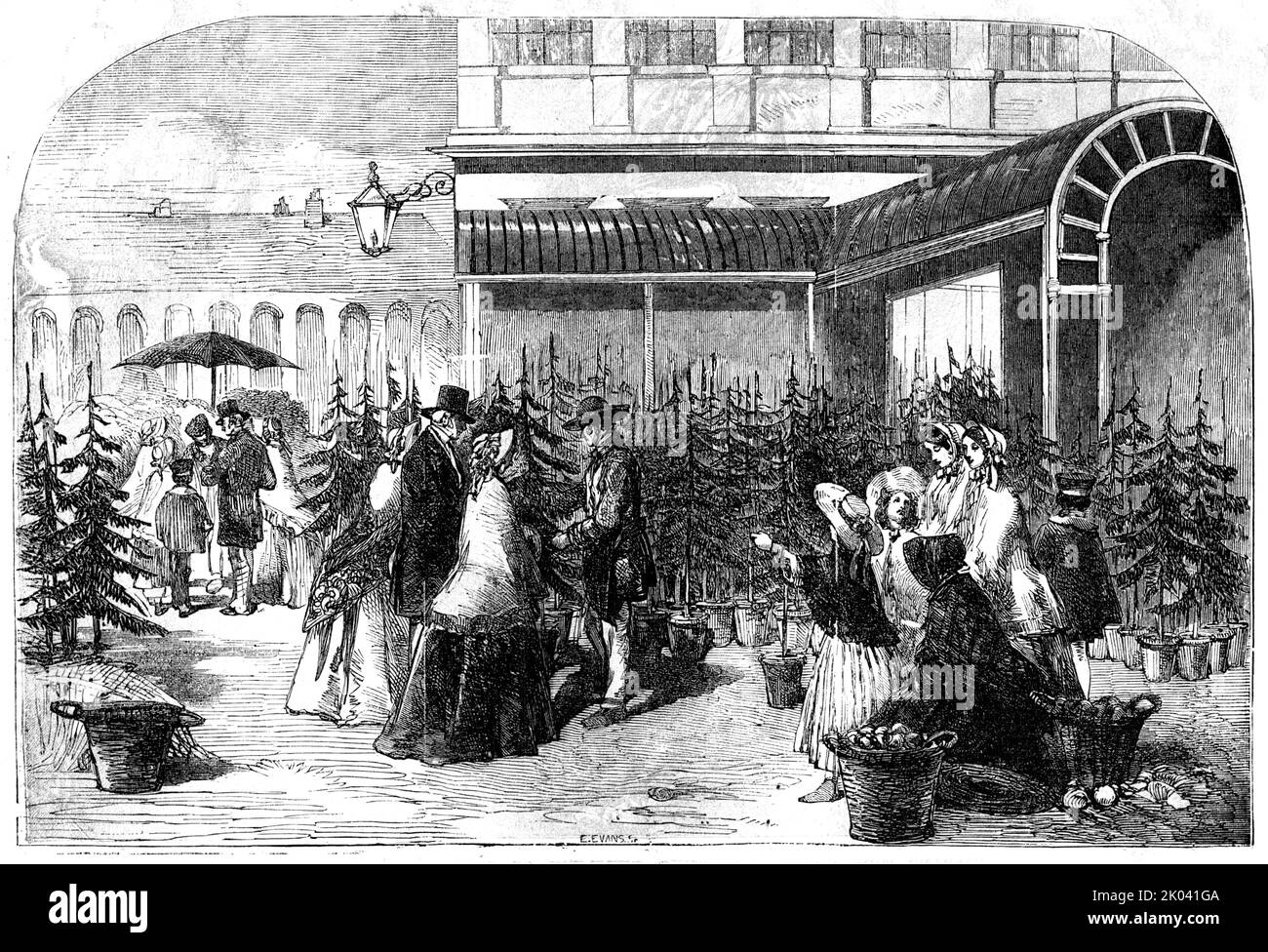 Alberi di Natale nel mercato di Covent Garden, 1854. Persone che acquistano alberi di Natale a Londra. Da "Illustrated London News", 1854. Foto Stock