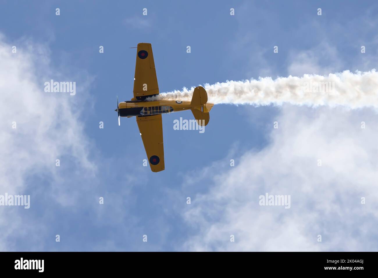 North American Harvards at Boundary Bay BC Canada Foto Stock