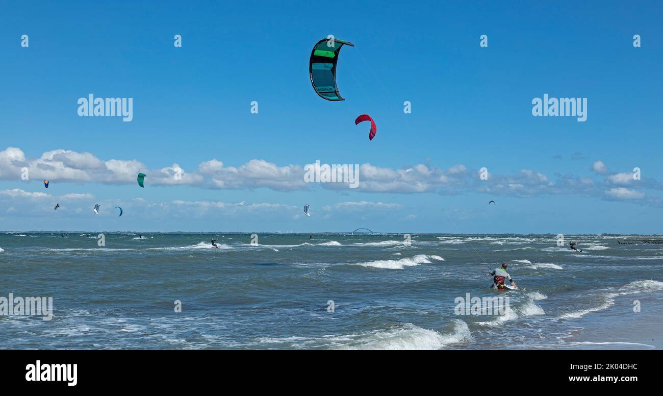 Kitesurfers, Fehmarn Sound Bridge, penisola di Graswarder, Heiligenhafen, Schleswig-Holstein, Germania Foto Stock