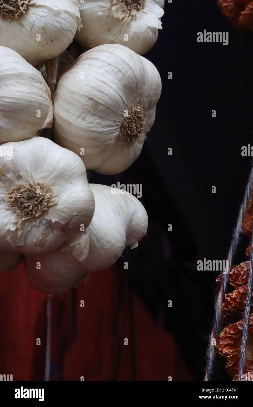 Treccia di aglio appeso alla vetrina del mercato orientale a Heidelberg, Baviera, Germania. Sfondo marrone scuro. Primo piano. Vista laterale. Foto Stock