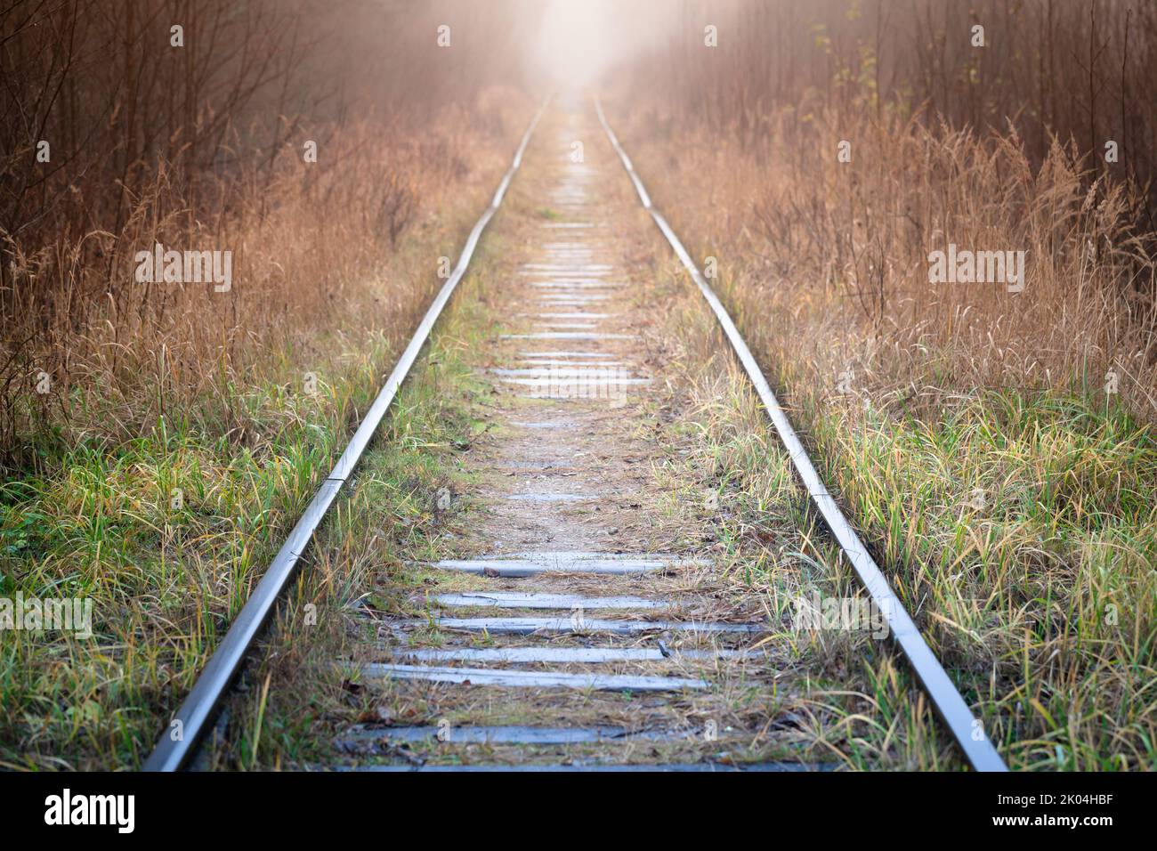 Vecchia ferrovia abbandonata passa attraverso una foresta nebbiosa, vista prospettica Foto Stock