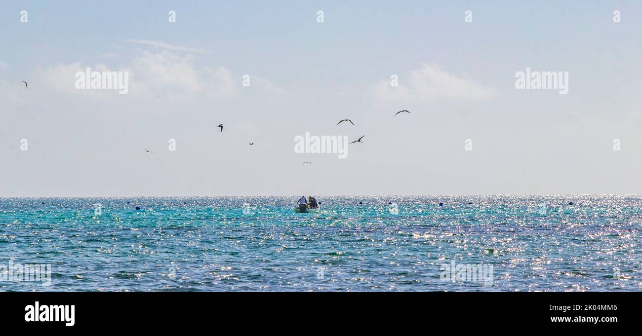 Barca yacht nave traghetto molo molo molo porto e uccelli marini presso la tropicale spiaggia messicana vista panoramica da Playa 88 e Punta Esmeralda a Playa del Foto Stock