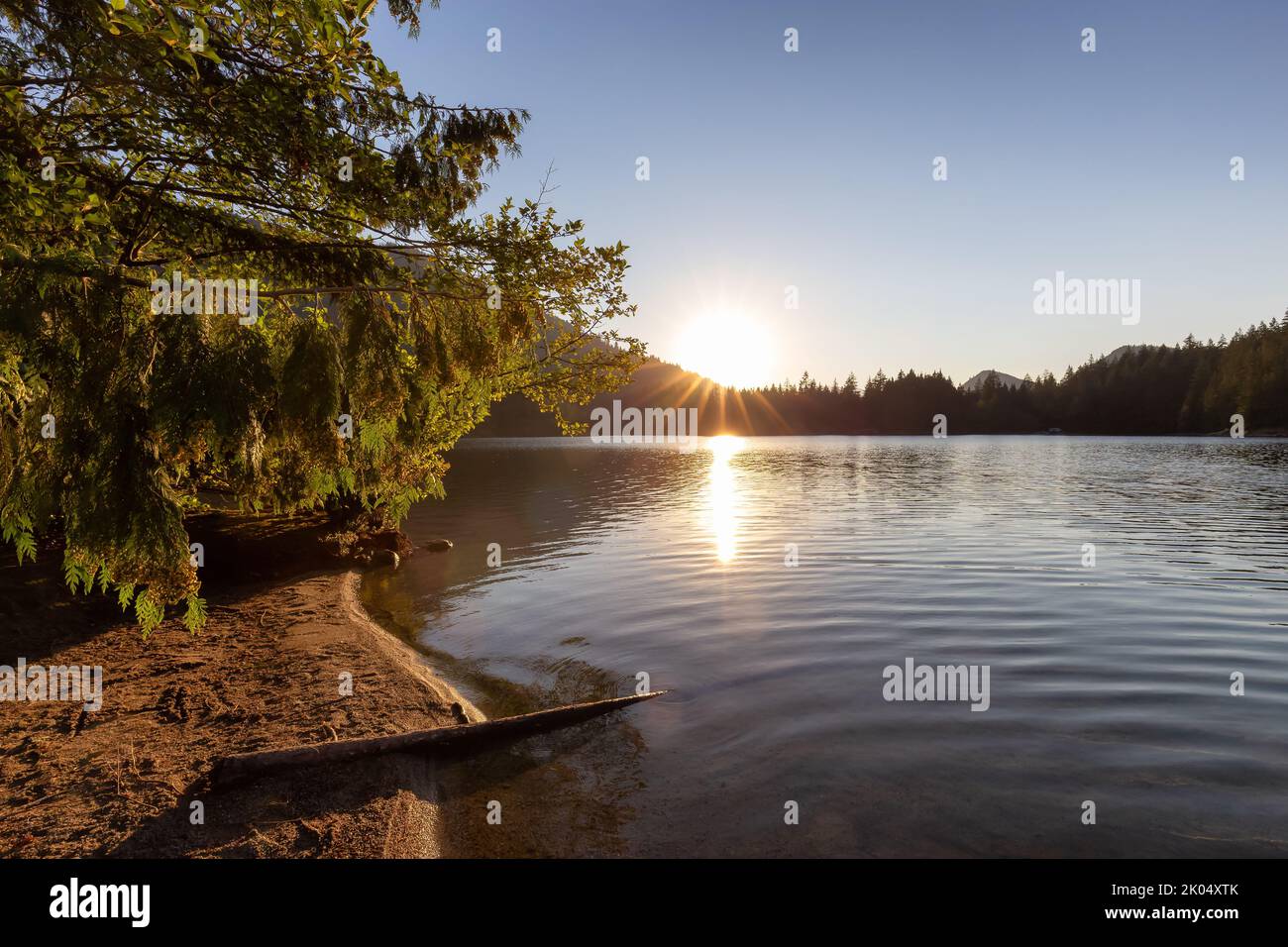 Tramonto soleggiato sul paesaggio naturale canadese. Lago Hicks, Sasquatch Provincial Park Foto Stock