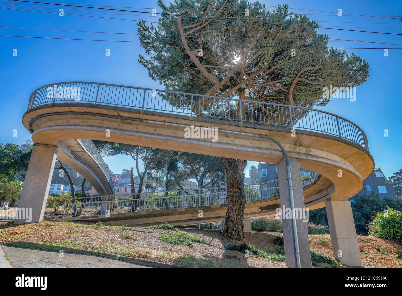 Passerella sopraelevata pavimentata che si snoda intorno ad un albero contro lo sfondo blu del cielo. Il passerella sopraelevato ha ringhiere e vista delle case in una residenza Foto Stock