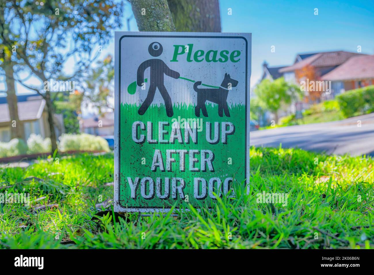 Si prega di pulire dopo il cartello con il cane in un quartiere di San Francisco. Vista ravvicinata di un cartello per animali domestici contro alberi, strade, case e cielo blu su un su Foto Stock