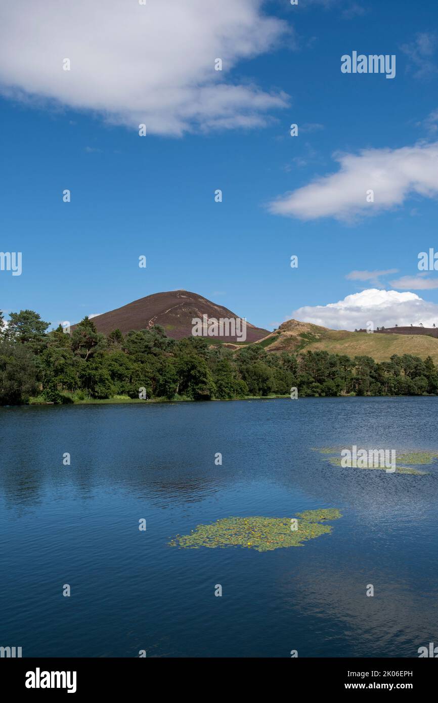 Guardando attraverso il Bowden Moor Loch verso gli Eildons, Melrose Foto Stock