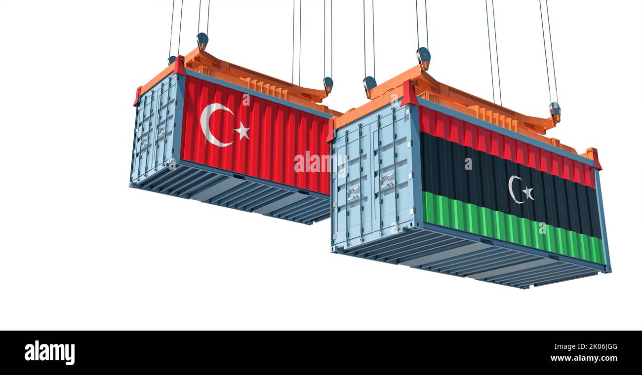 Container da carico con bandiere nazionali di Turchia e Libia. Rendering 3D Foto Stock
