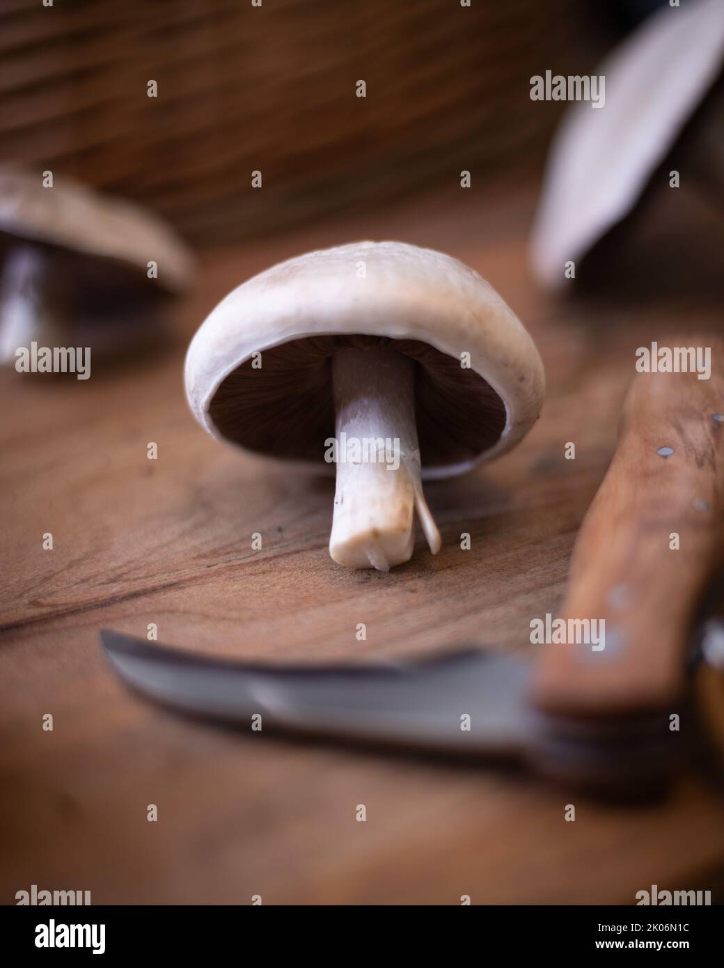 Fungo di campo su un asse di legno Foto Stock