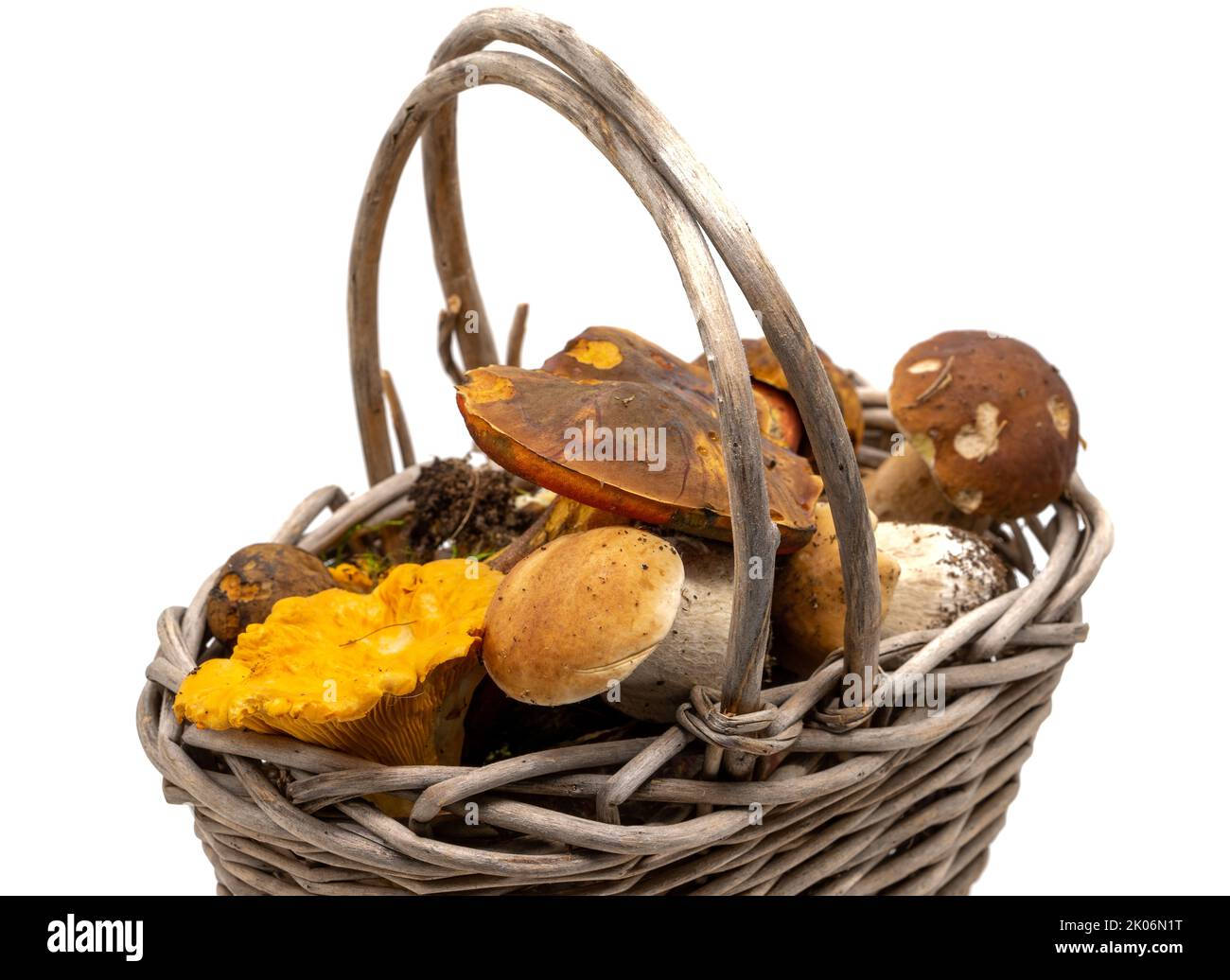 molti funghi in un cestino Foto Stock