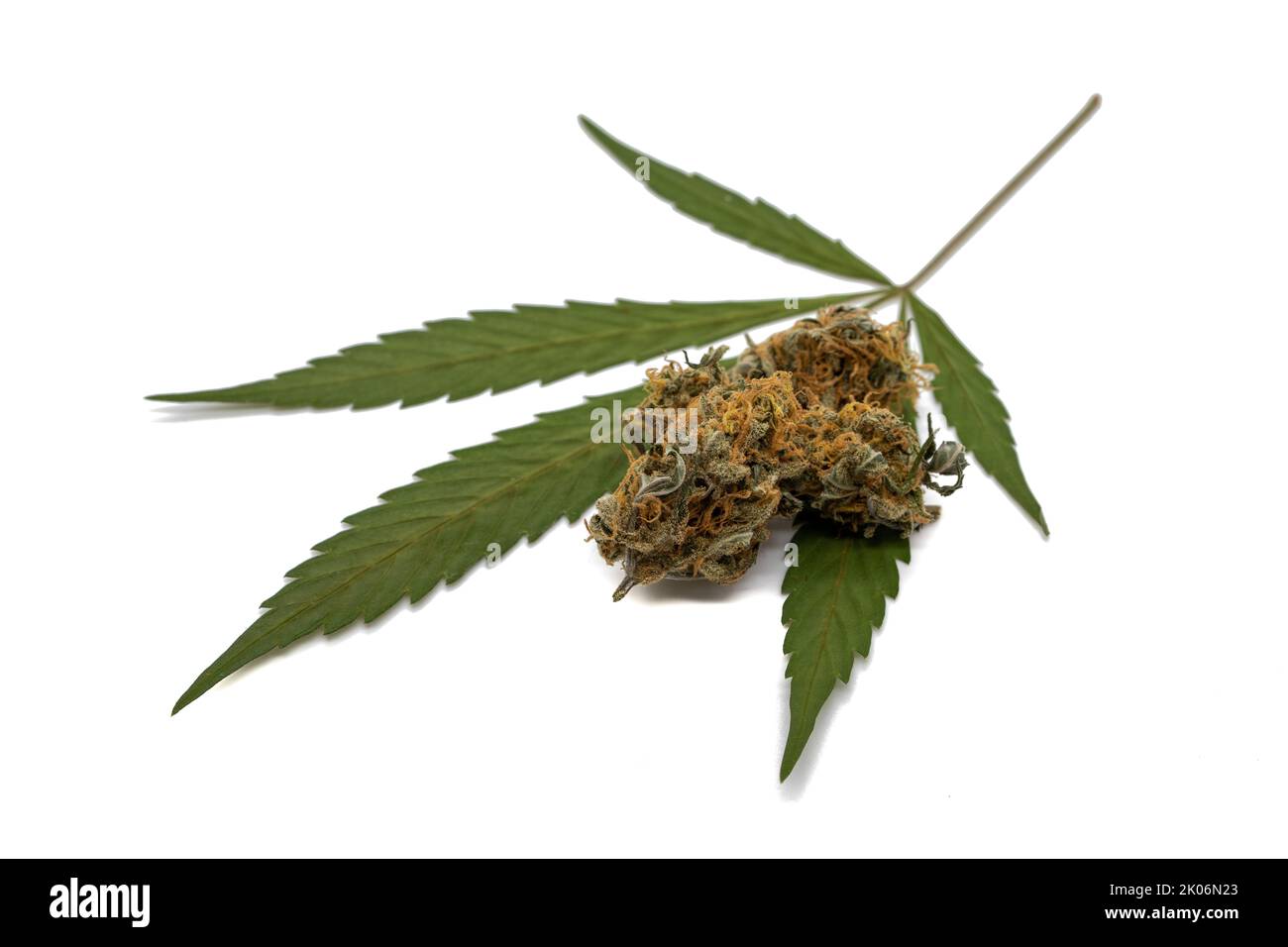 Foglia di cannabis con fiore essiccato isolato su fondo bianco Foto Stock