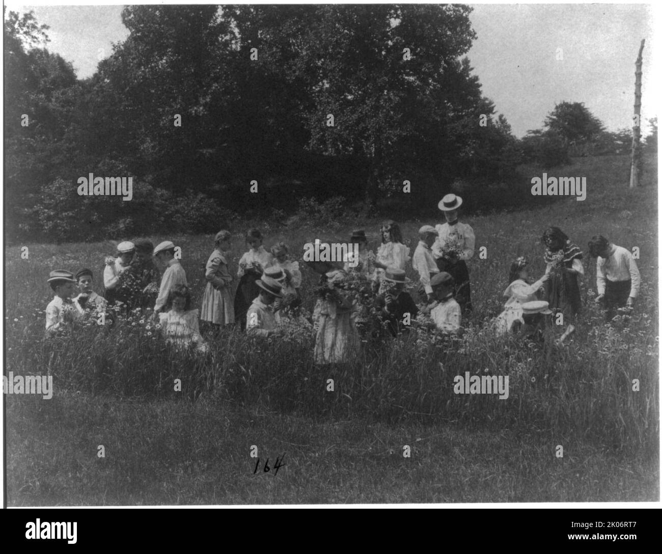 I bambini della scuola che esaminano i fiori selvaggi sul viaggio di campo - 1st divisione, Washington, D.C., scuola pubblica, (1899?). Foto Stock I bambini della scuola che esaminano i fiori selvaggi sul viaggio di campo - 1st divisione, Washington, D.C., scuola pubblica, (1899?). Foto Stock