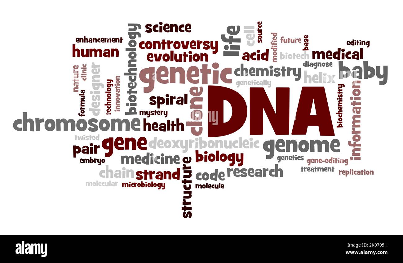 Wordcloud di DNA parole correlate che si occupano di genite, genoma, modificazione genetica e la controversia Foto Stock