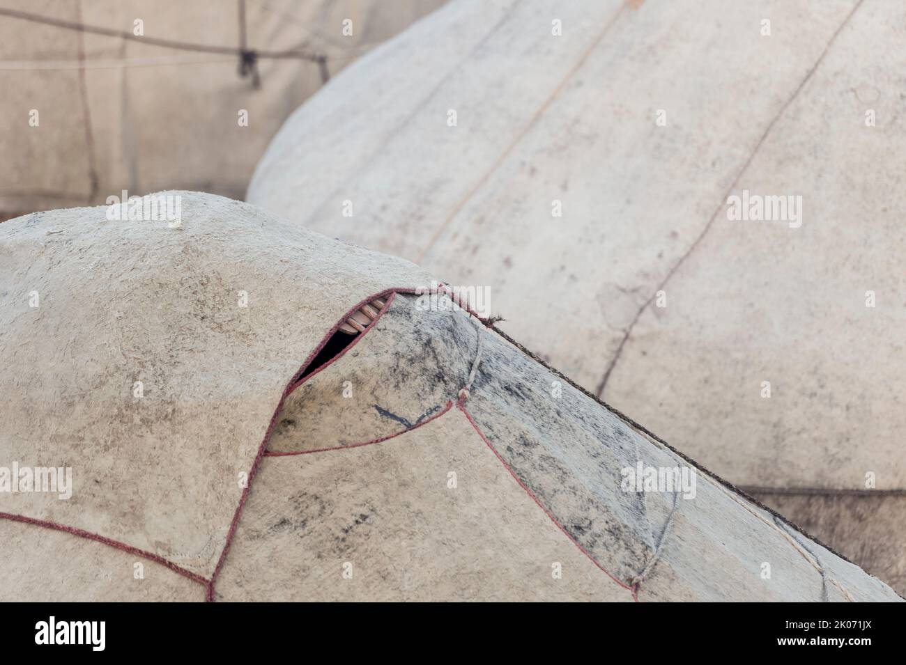 Particolare della casa yurta nel villaggio nomade del Kirchin sulle montagne del Kirghizistan durante i giochi del nomade del mondo Foto Stock