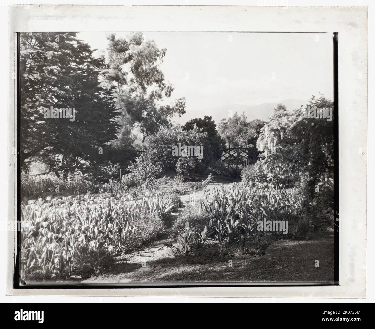 "Glen Oaks", James Hobart Moore House, East Valley Road, Montecito, California, 1917. Architettura della casa: Sconosciuta, forse Stanford White. Paesaggio: W. Stanley Davis, giardiniere fino al 1916. Nome associato: Lora Small (Sig.ra. James H.) Moore. Altro: James Hobart Moore acquistò la casa, allora conosciuta come "Field Place", dai suoi proprietari originali, il Dr. Alexander Blair Thaw e la Sig.ra Florence Dow Thaw, nel 1906. Foto Stock