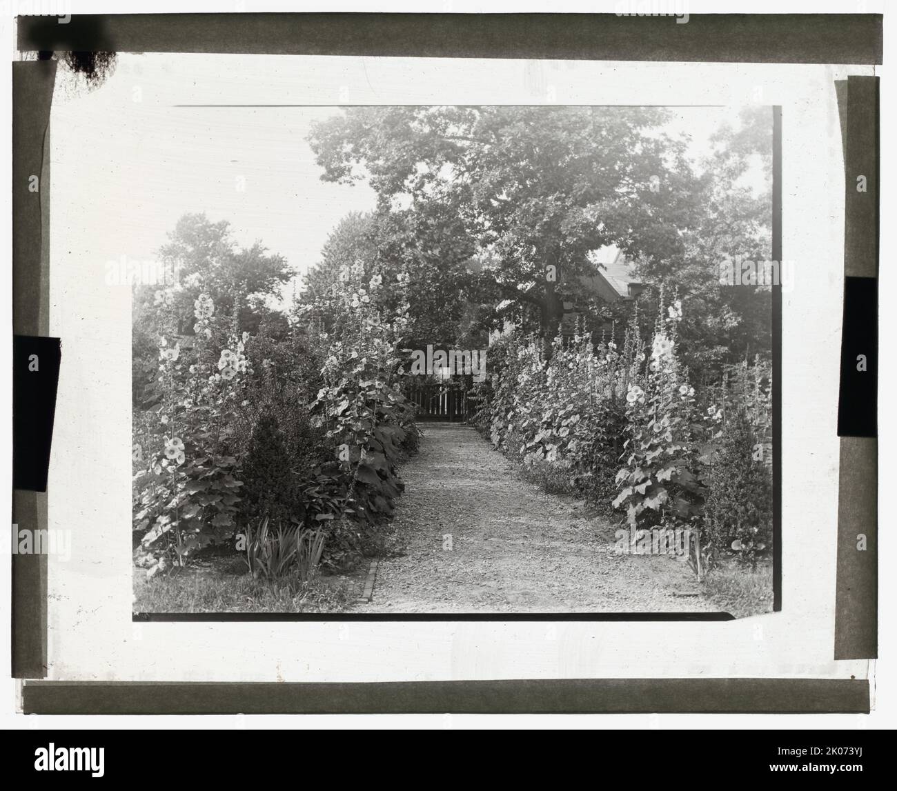 "Tudor Place", Armstead Peter, Jr., casa, 1644 31st Street, NW, Washington, D.C., 1926. Casa architettura: Thomas Thornton, costruito tra il 1795-1816. Paesaggio: Thomas Peter e i suoi discendenti. Foto Stock