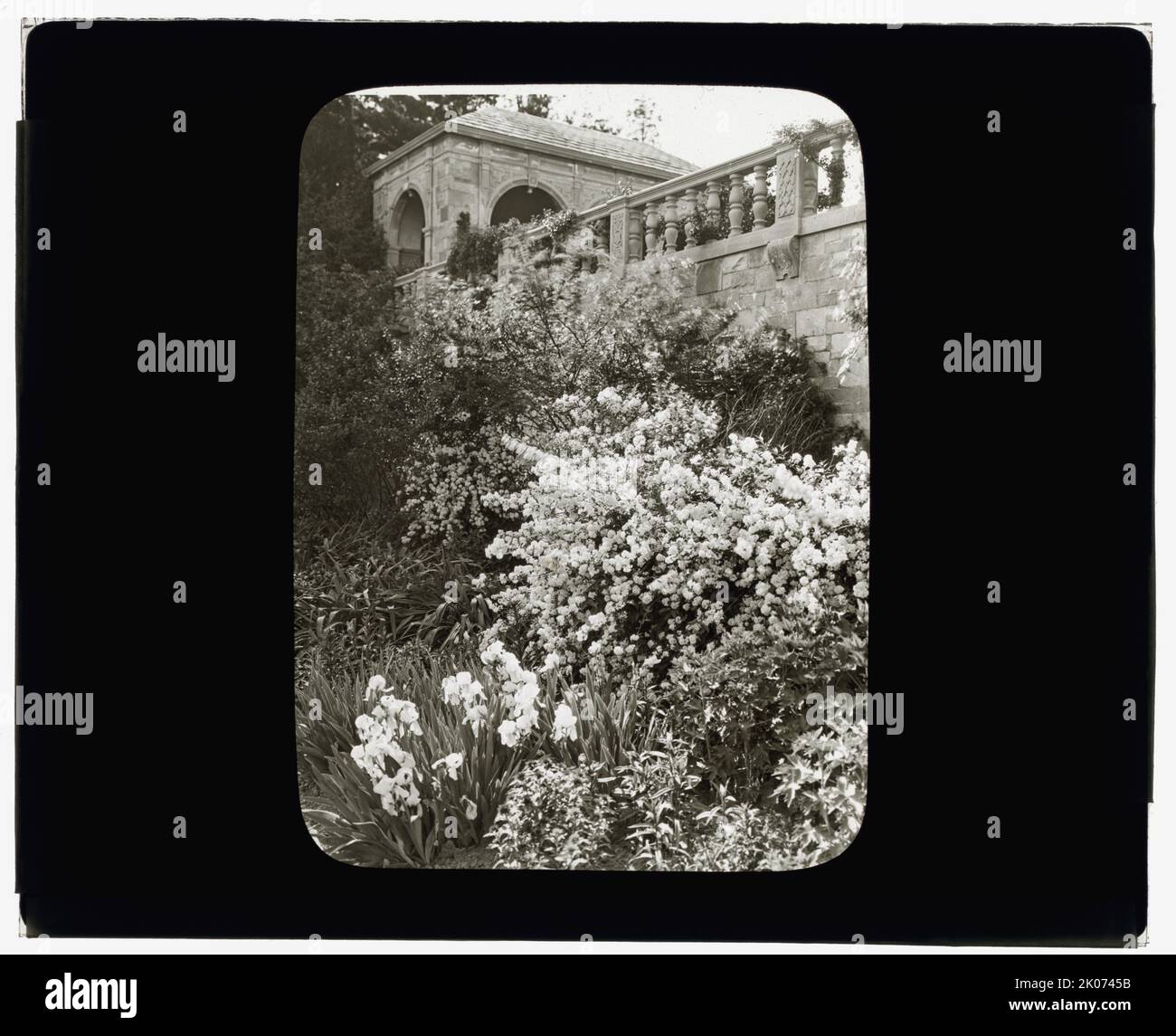 "Killenworth", George Dupont Pratt House, Glen Cove, New York, c1918. Architettura della casa: Trowbridge & amp; Ackerman, 1908-1913. Paesaggio: James Leal Greenleaf, circa 1913. Paesaggio: Pianificazione di siti e unità in "Dosoris", il complesso della famiglia Pratt con case appartenenti ai figli di Charles Pratt, Frederick Law Olmsted Jr., e Olmsted Brothers, 1906. Foto Stock