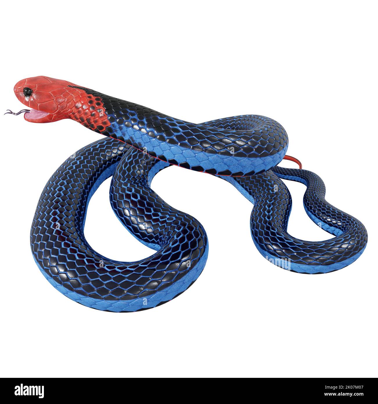 Blu corallo serpente 3D illustrazione. Foto Stock