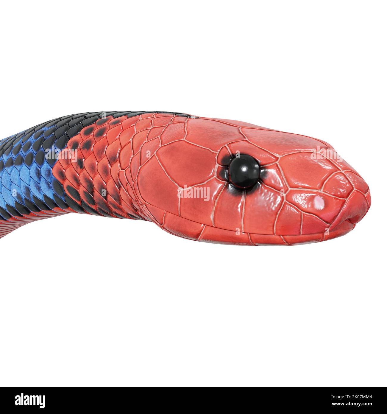 Blu corallo serpente 3D illustrazione. Foto Stock