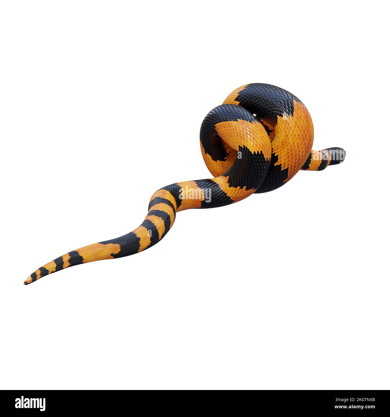 Illustrazione di Bismarck ringed python 3D. Foto Stock