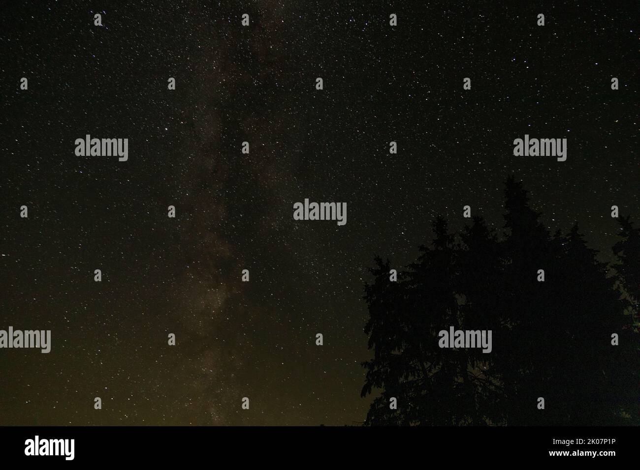 Cielo stellato vicino Hitzacker, bassa Sassonia, Germania Foto Stock