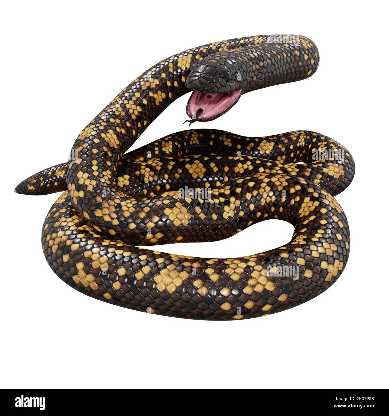 Calabar Python 3D illustrazione Foto Stock