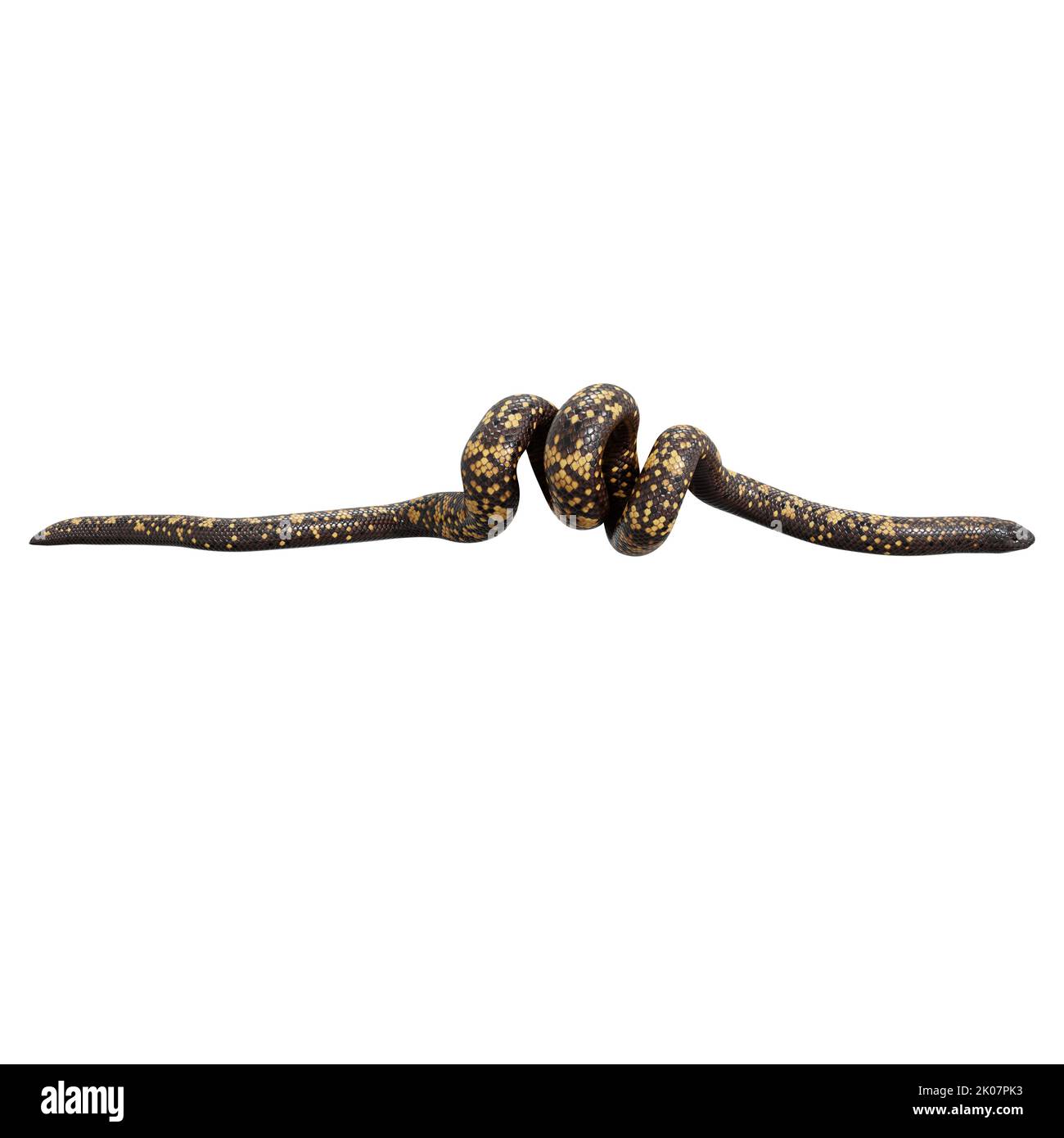 Calabar Python 3D illustrazione Foto Stock