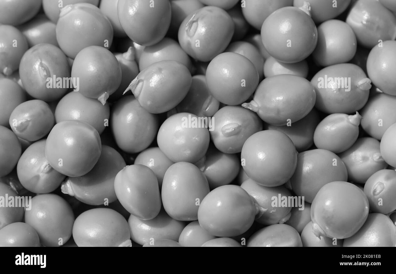 cibo colorato come sfondo astratto o carta da parati Foto Stock