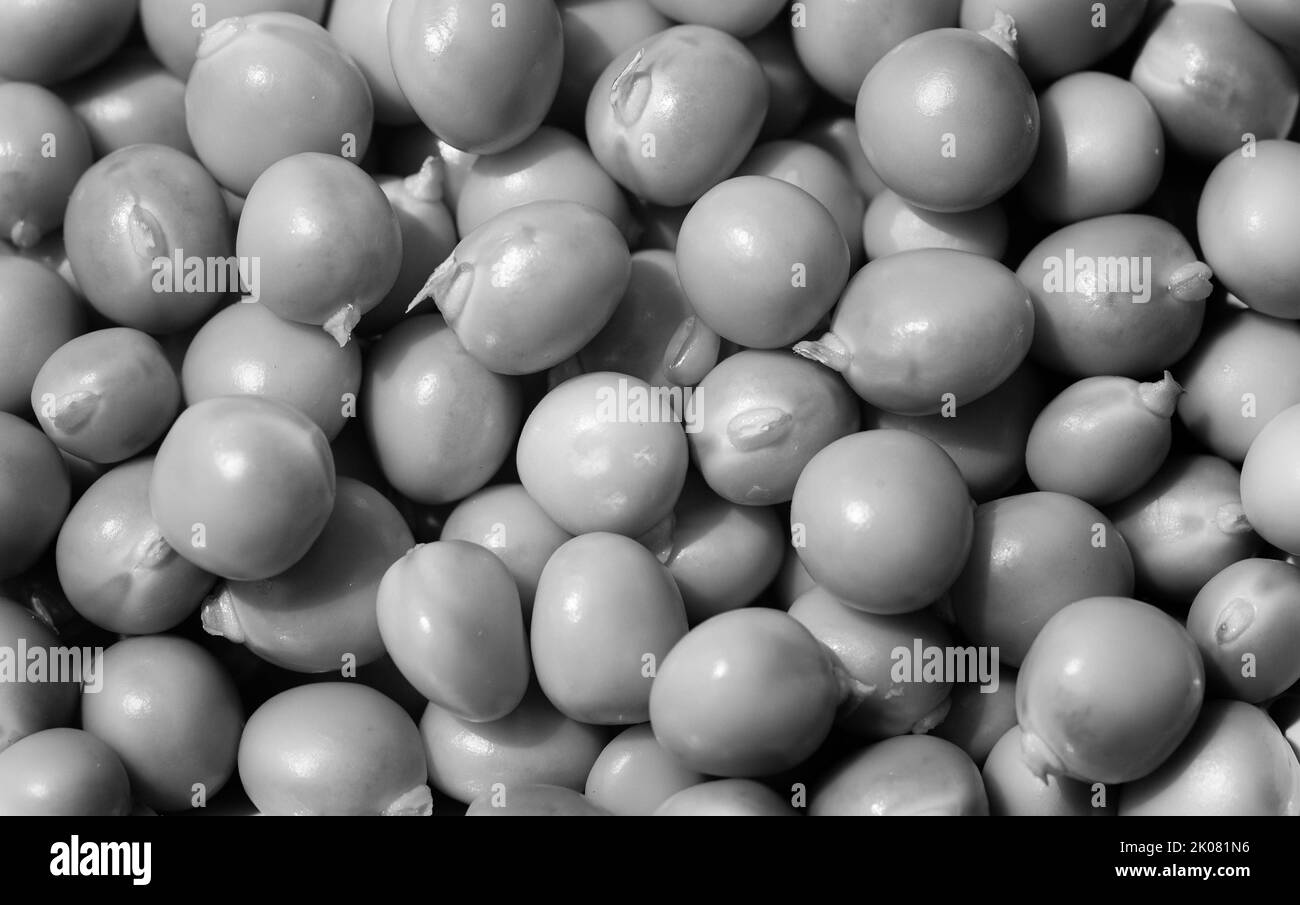 cibo colorato come sfondo astratto o carta da parati Foto Stock