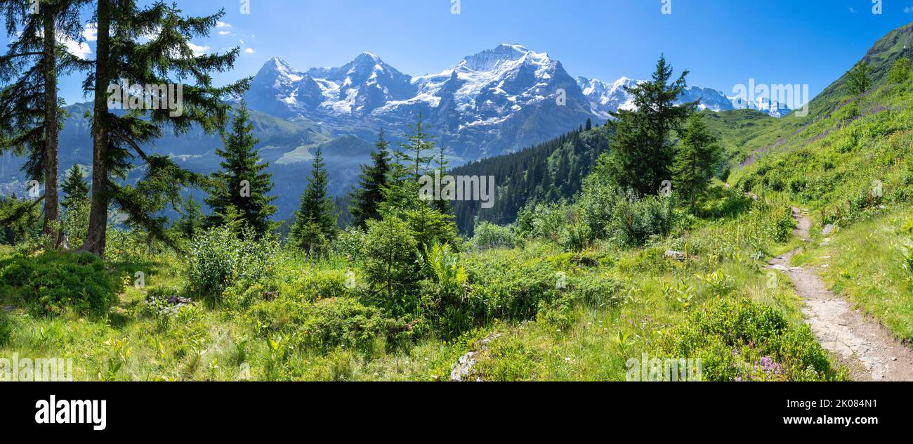 Il panorama delle alpi Bernesi con le vette dello Jungfrau, del Monch e dell'Eiger sui prati delle alpi. Foto Stock