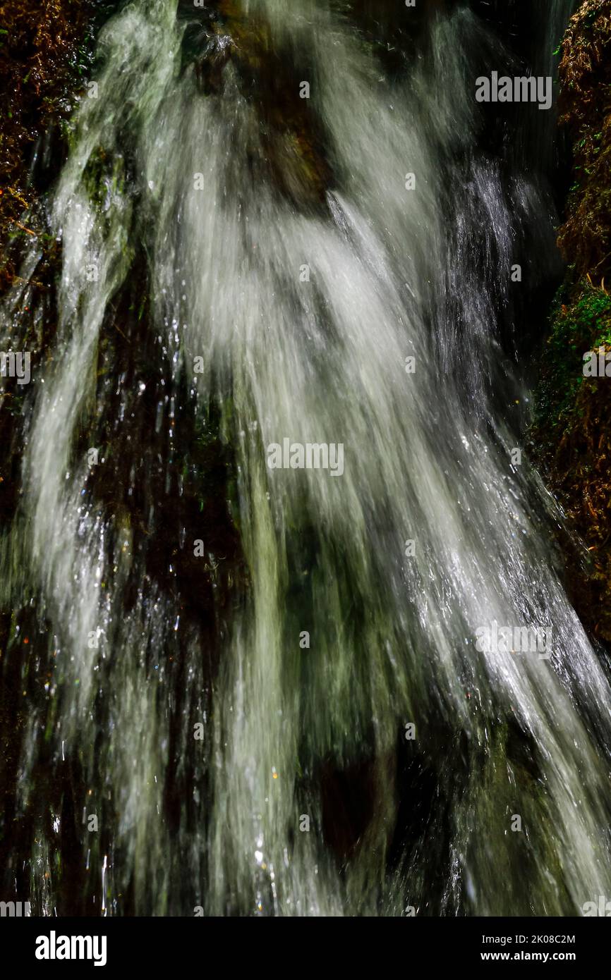 Piccola cascata o cascata in un ruscello. Foto Stock