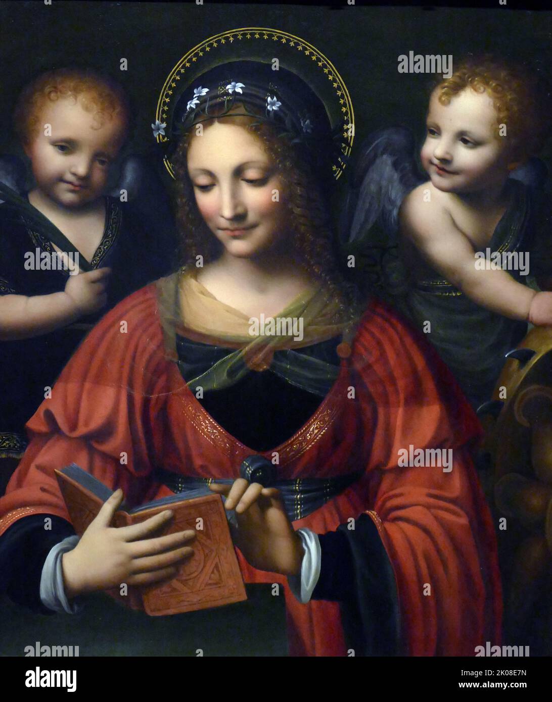 Santa Caterina, inizio 16th ° secolo, di Bernardino Luini (c.. 1480/82 - giugno 1532) è stato un pittore del nord italiano del cerchio di Leonardo durante l'Alto Rinascimento Foto Stock