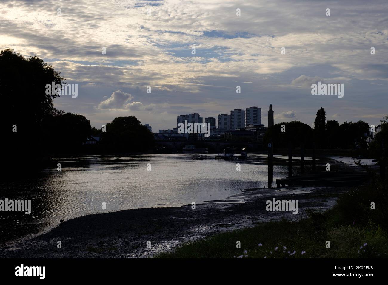 Tamigi River, Chiswick, Londra, Regno Unito Foto Stock